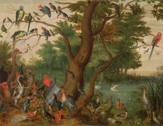 Concert of Birds